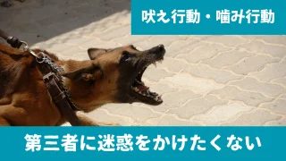 Thumbnail of post image 009
